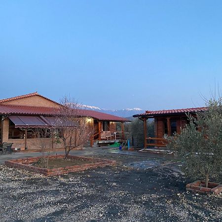 Vila Mario Berat Exterior foto
